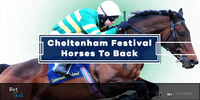 cheltenham horses to back
