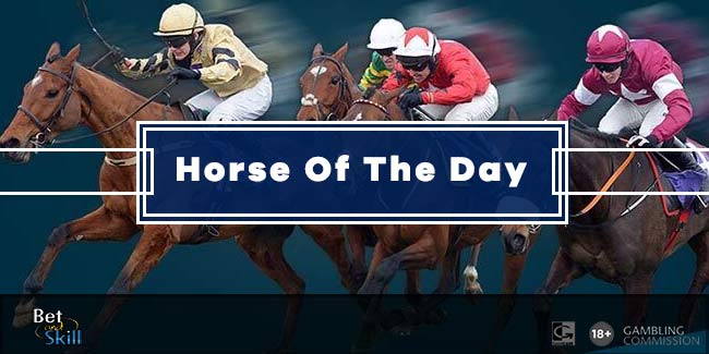 Horse Racing Tips