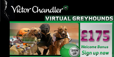 Bet or Play for free on Virtual Greyhounds with VCgames
